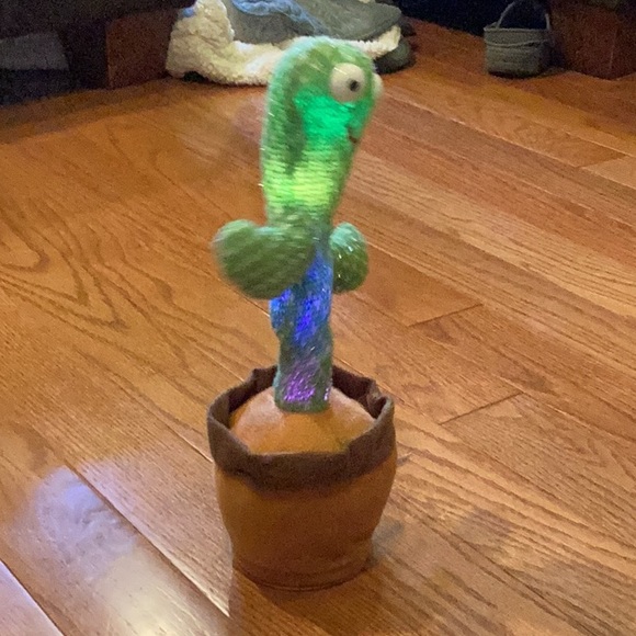 Cactus for kids. - Picture 14 of 14